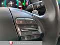Hyundai IONIQ Ioniq Elektro Level 4 Braun - thumbnail 20