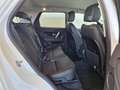 Land Rover Discovery Sport 2.0D I4-L.Flw 150 CV AWD Auto S Blanc - thumbnail 3