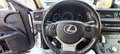 Lexus CT 200h CT 200h 1.8 hybrid Business cvt E6 Bianco - thumbnail 14