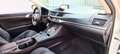 Lexus CT 200h CT 200h 1.8 hybrid Business cvt E6 Bianco - thumbnail 13