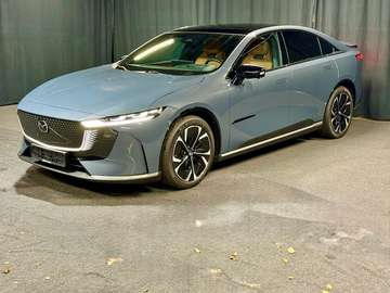 258PS TAKUMI*LEDER-S*PANO