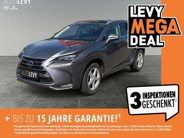 Luxury EFour MatrixLED*Navi*SHZ*Glasdach