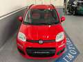Fiat Panda Panda 1.2 Lounge S&S 70cv 1prop. *Neopatentati* Rot - thumbnail 5