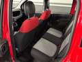 Fiat Panda Panda 1.2 Lounge S&S 70cv 1prop. *Neopatentati* Rot - thumbnail 11
