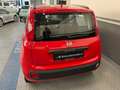Fiat Panda Panda 1.2 Lounge S&S 70cv 1prop. *Neopatentati* Rot - thumbnail 18