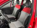 Fiat Panda Panda 1.2 Lounge S&S 70cv 1prop. *Neopatentati* Rot - thumbnail 10