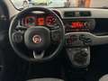 Fiat Panda Panda 1.2 Lounge S&S 70cv 1prop. *Neopatentati* Rot - thumbnail 12