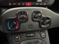 Fiat Panda Panda 1.2 Lounge S&S 70cv 1prop. *Neopatentati* Rot - thumbnail 14