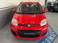 Fiat Panda Panda 1.2 Lounge S&S 70cv 1prop. *Neopatentati* Rot - thumbnail 3