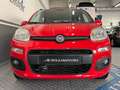 Fiat Panda Panda 1.2 Lounge S&S 70cv 1prop. *Neopatentati* Rot - thumbnail 4