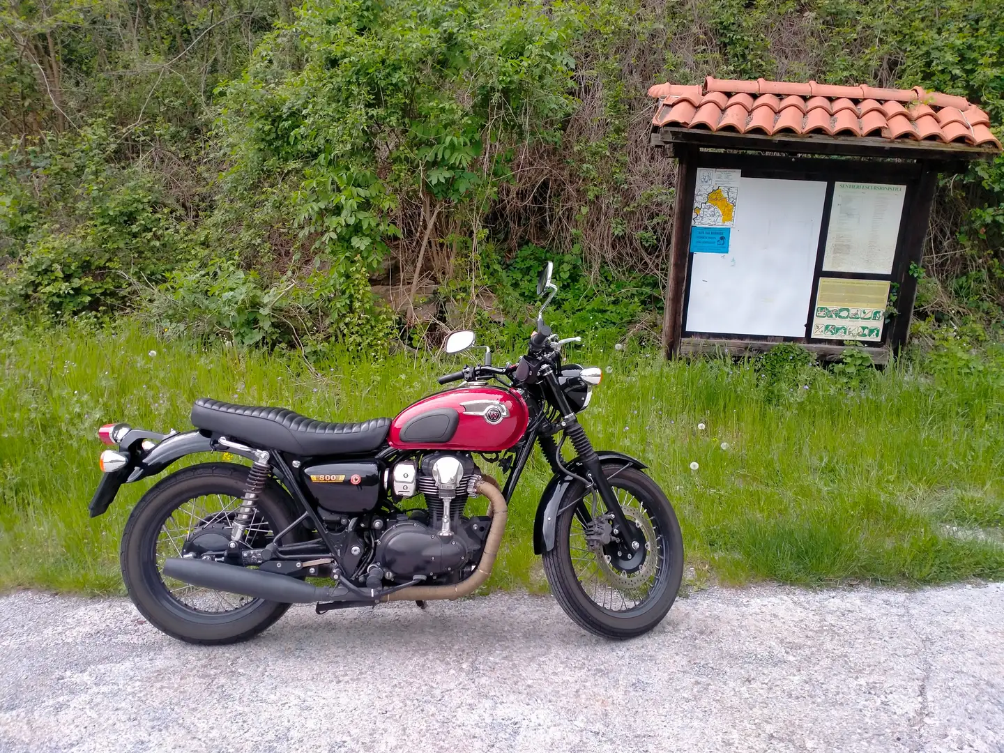 Kawasaki W 800 SPECIAL EDITION Czerwony - 2