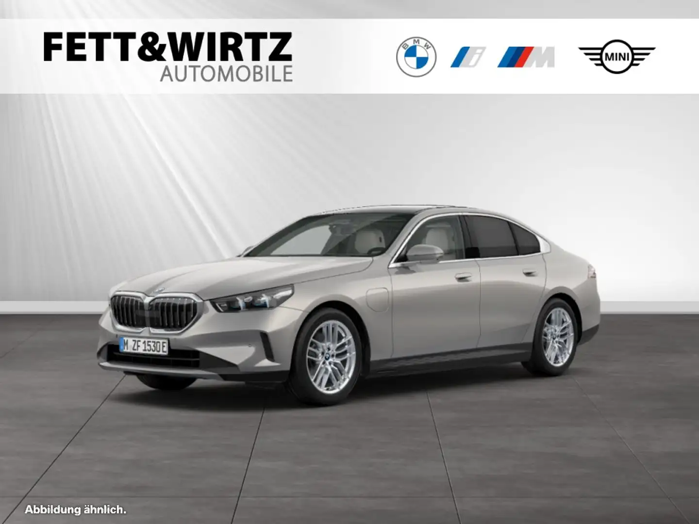 BMW 530 e Panorama|Autobahnass.|DAProf. Gris - 1