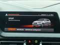 BMW 120 i M Sportpak HIFI°18-LED°grNavi-HIFI°beh.LR Grau - thumbnail 27