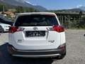 Toyota RAV4 Basis Allradantrieb Weiß - thumbnail 5
