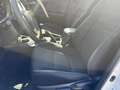 Toyota RAV4 Basis Allradantrieb Weiß - thumbnail 14