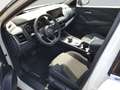 Nissan Qashqai 1.3 DIG-T MHEV Xtronic 4x4 N-Connecta Panorama Sit Weiß - thumbnail 13