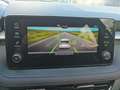 Skoda Fabia 1.0l MPI Selection LED Klima SHZ PDC Temp. Grau - thumbnail 10