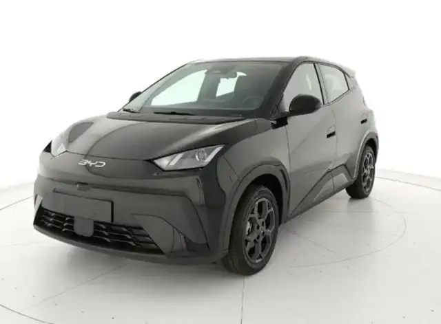 BYD Dolphin SURF ACTIVE 88Ccv Batteria 30kwh