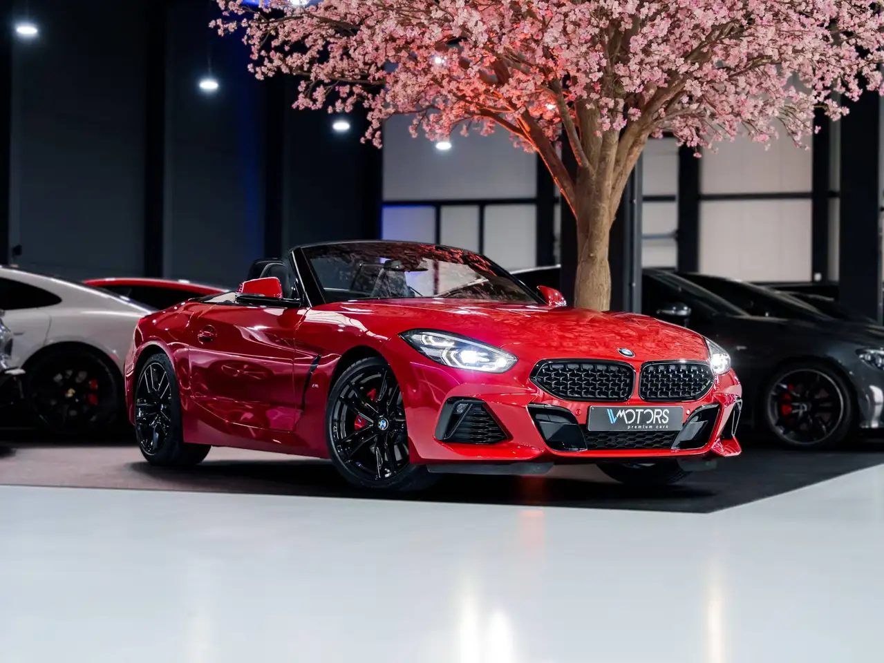 BMW Z4 M