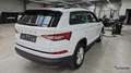Skoda Kodiaq 1.5 TSI ACT Ambition OPF (EURO 6d) Weiß - thumbnail 9