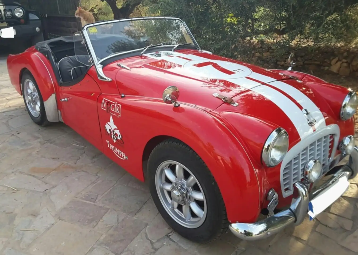 Triumph TR3 Rosso - 1