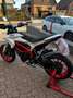 Ducati Hypermotard 821 Hyperstrada Bianco - thumbnail 3