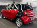 smart Forfour 1.Hand , 9890Km, 22 KW, Mwst. ausweisbar Rot - thumbnail 4