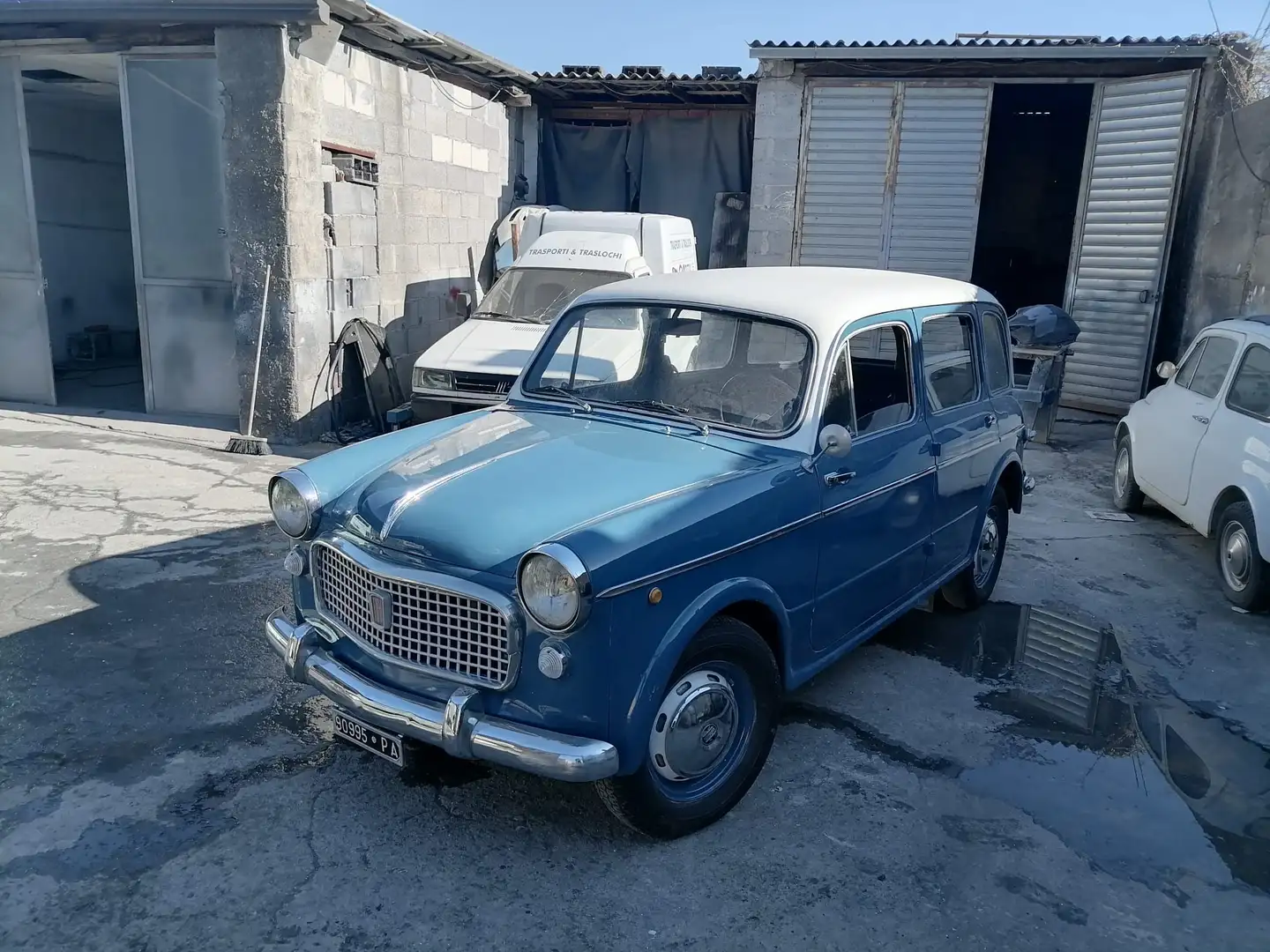 Fiat Albastru - 1