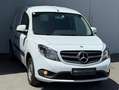 Mercedes-Benz Citan 109 CDI lang (A2)(415.603) Weiß - thumbnail 3
