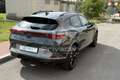 CUPRA Formentor Formentor 2.0 TDI 4Drive DSG Verde - thumbnail 5