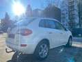 Renault Koleos Dynamique Weiß - thumbnail 5