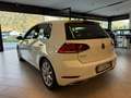 Volkswagen Golf 2.0cc 150CV TDI DSG Weiß - thumbnail 4