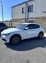 Alfa Romeo Stelvio 2.2 Turbodiesel 160 CV AT8 RWD Super Blanc - thumbnail 2