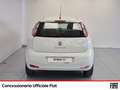 Fiat Punto 5p 1.4 natural power street 70cv e6 Bianco - thumbnail 5
