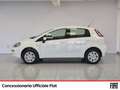 Fiat Punto 5p 1.4 natural power street 70cv e6 Bianco - thumbnail 3