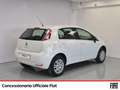 Fiat Punto 5p 1.4 natural power street 70cv e6 Bianco - thumbnail 4