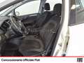 Fiat Punto 5p 1.4 natural power street 70cv e6 Bianco - thumbnail 7
