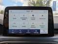 Ford Focus 1.5 Active Aut AHK*LED*NAV*SHZ*PDC*CAM*LM17 Silber - thumbnail 14