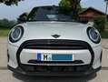 MINI Cooper Cabrio Mini Cooper Cabrio Aut. MINI Yours Trim Weiß - thumbnail 1