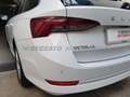 Skoda Octavia IV 2020 Wagon Wagon 2.0 tdi evo Executive 115cv d Wit - thumbnail 19