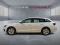 Skoda Octavia IV 2020 Wagon Wagon 2.0 tdi evo Executive 115cv d Wit - thumbnail 2