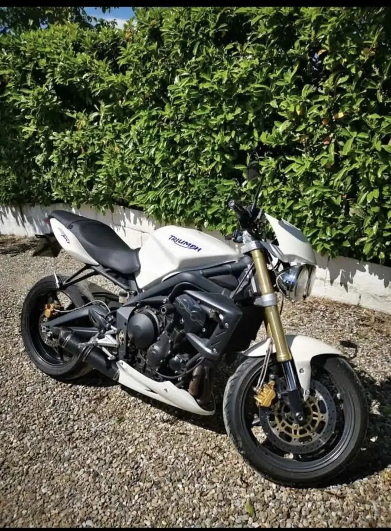 Triumph Street Triple 675 Blanc - 1
