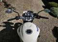 Triumph Street Triple 675 Blanc - thumbnail 4