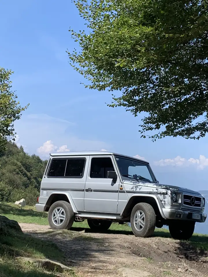 Mercedes-Benz GE 200 SW corto, foto 2