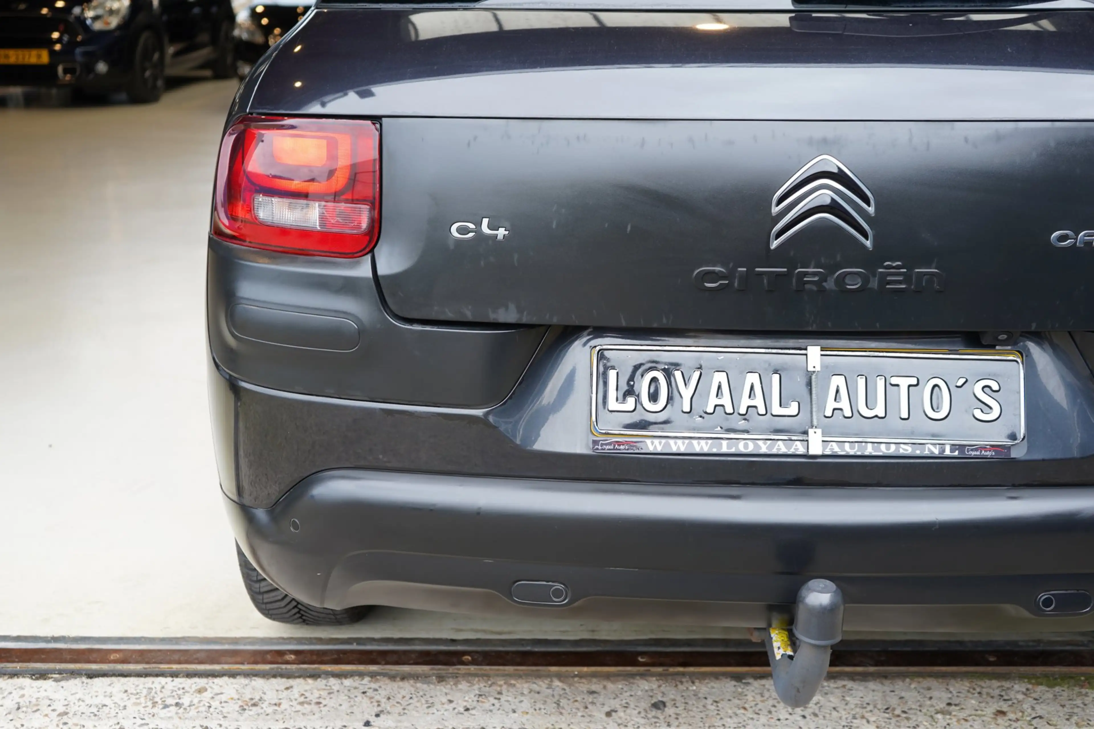 Citroen C4 Cactus 1.2 PureTech Business | TREKHAAK | ACHTERUITRIJC.| — photo 13