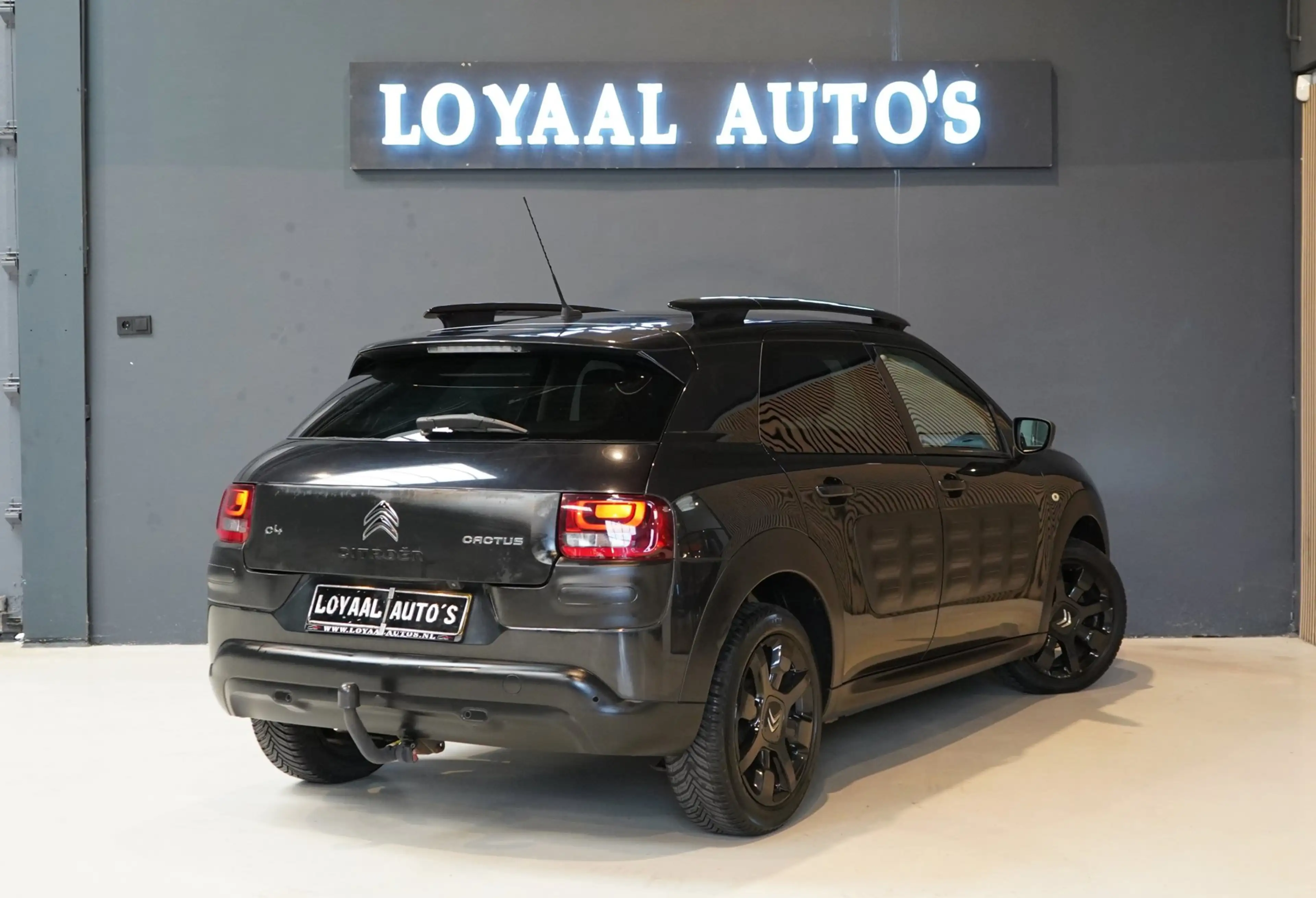 Citroen C4 Cactus 1.2 PureTech Business | TREKHAAK | ACHTERUITRIJC.| — photo 8