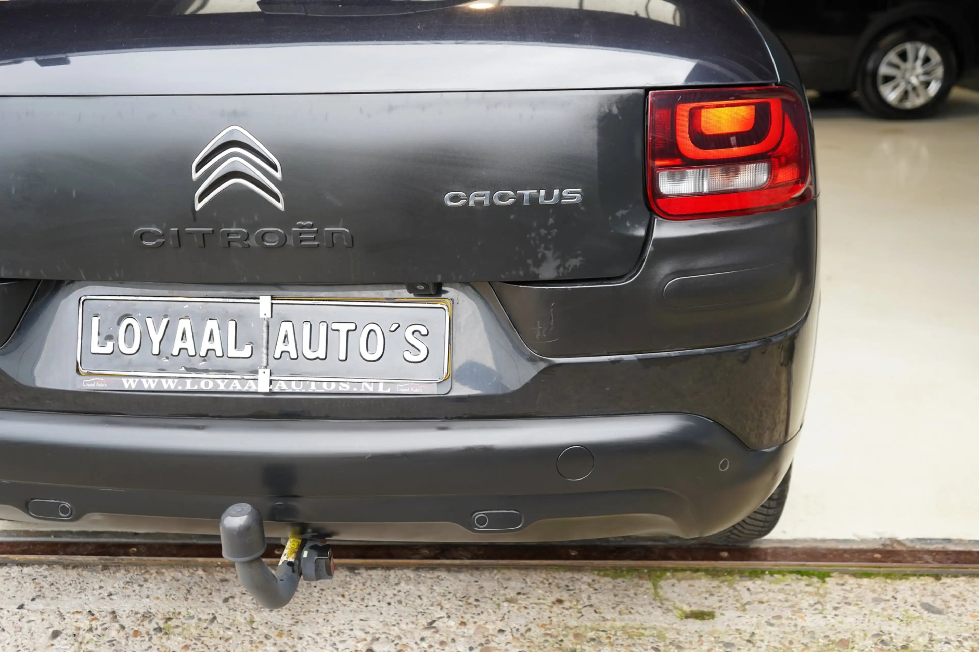 Citroen C4 Cactus 1.2 PureTech Business | TREKHAAK | ACHTERUITRIJC.| — photo 14