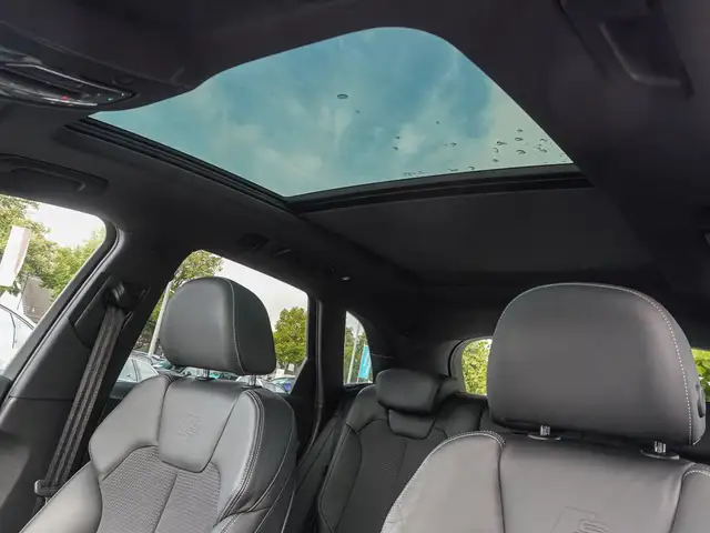 Audi SQ5 view 8