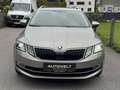 Skoda Octavia Style 4x4 ALLRAD DSG AUTOMATIK *ERSTBESITZ *SZH Beige - thumbnail 5