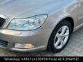 Skoda Octavia Combi Family-KLIMA-SHZG-TEMP-ALU-PDC-CD- Beige - thumbnail 2